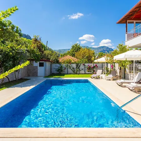 Daisy Villa